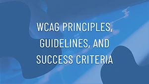 Read WCAG Principles, Guidelines, and Success Criteria