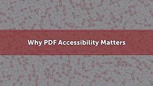 Read Why PDF Accessibility Matters